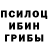Псилоцибиновые грибы ЛСД Richard Andersson