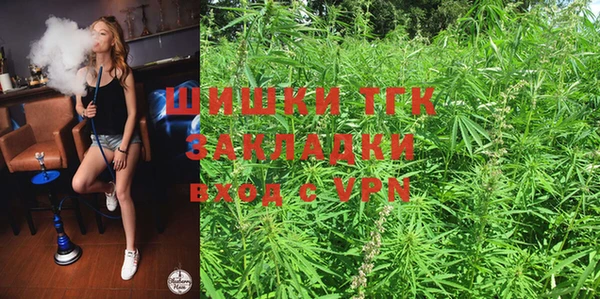 дмт Аркадак