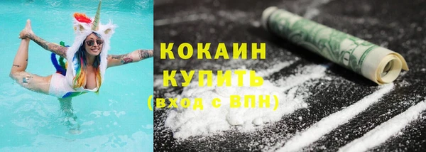 соль ск Алзамай