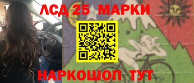 крисы Дубна