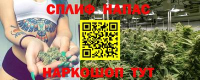 крисы Дубна
