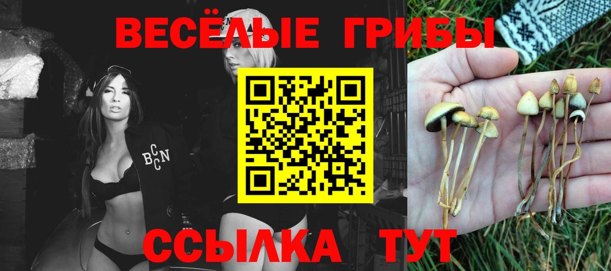 Галлюциногенные грибы GOLDEN TEACHER Новороссийск